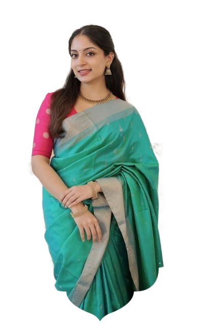 Silk saree collection